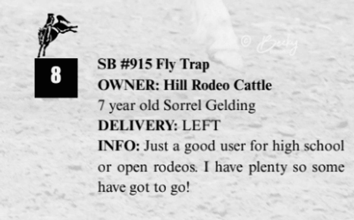 SB #915 Fly Trap