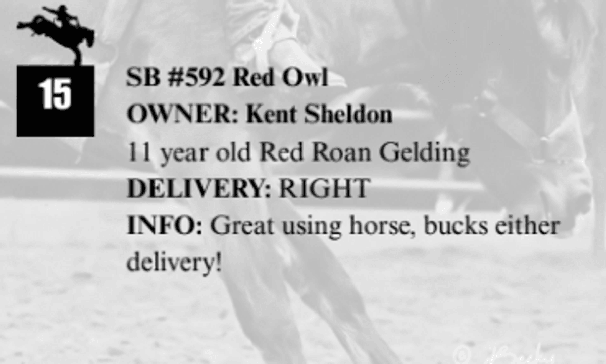 SB #592 Red Owl