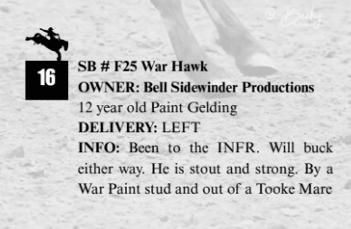 SB #F25 War Hawk
