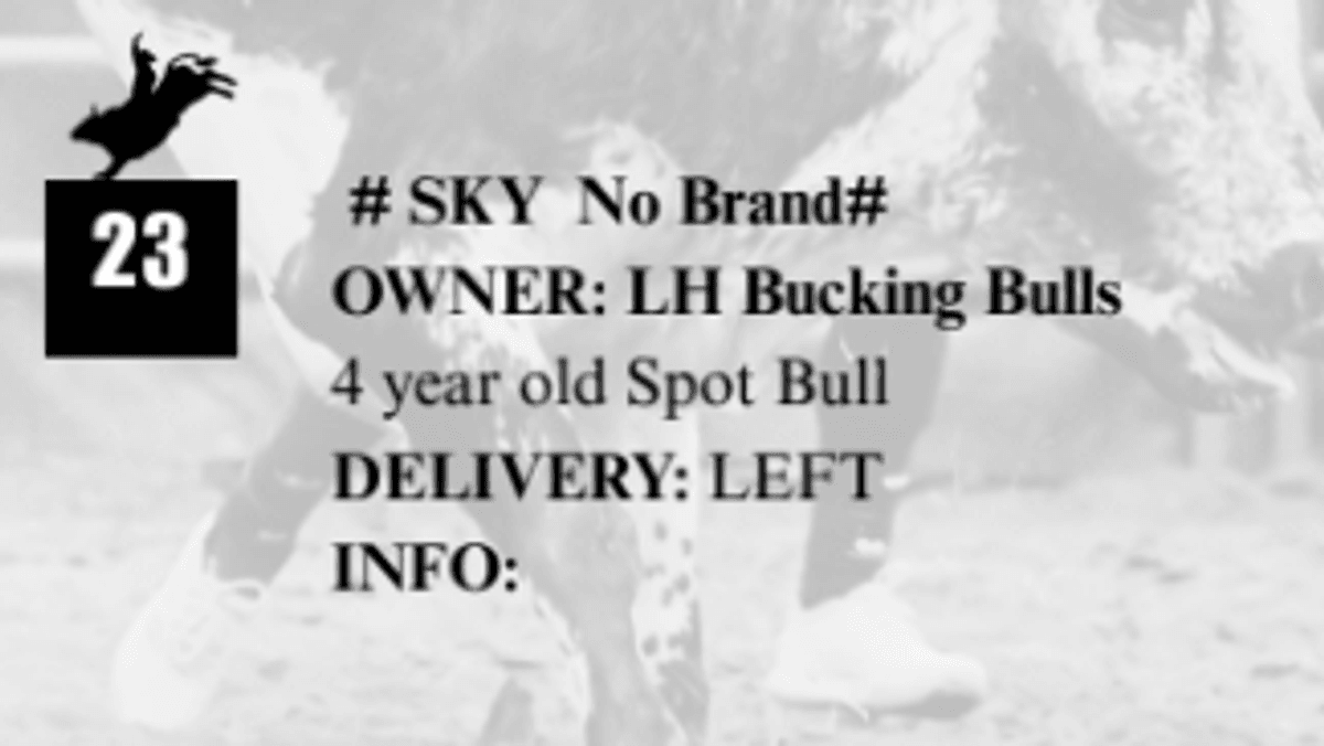 #SKY No Brand#