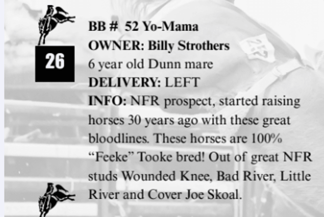 BB # 52 Yo-Mama
