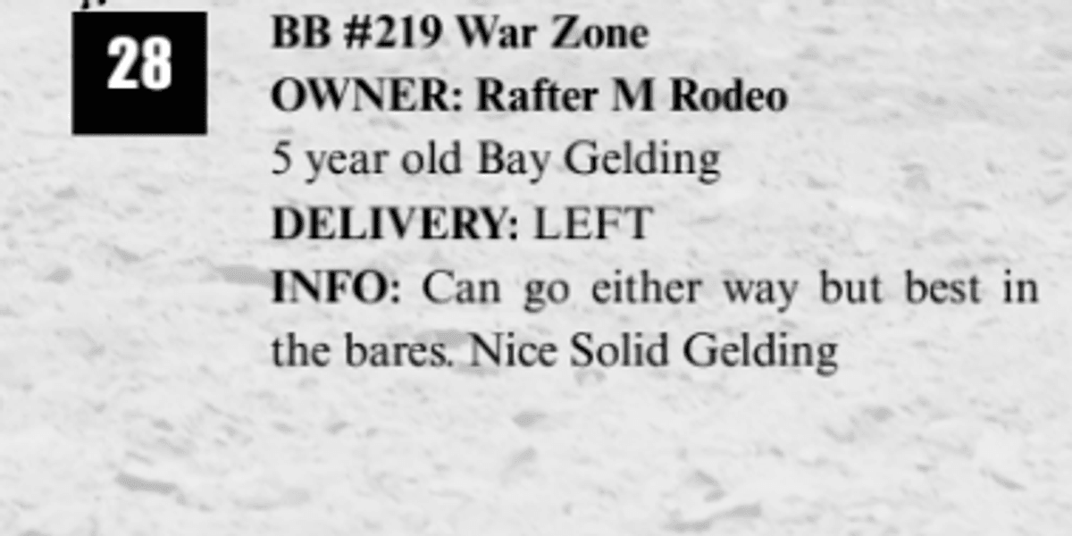 BB #219 War Zone
