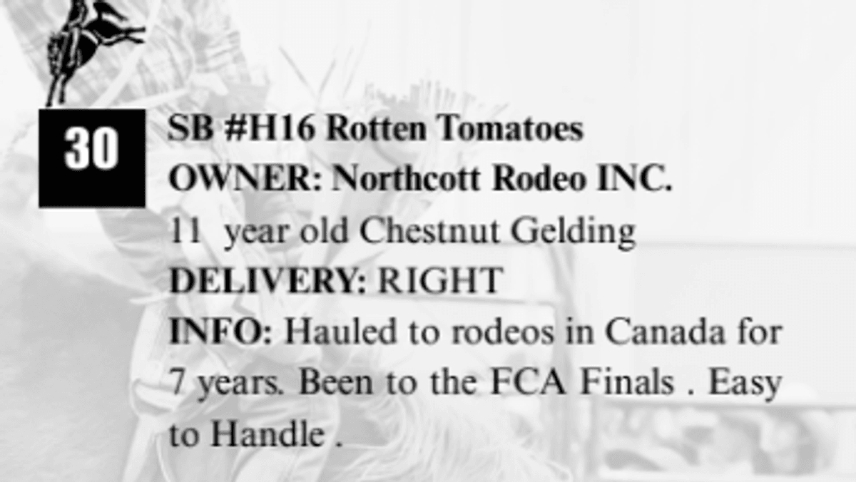 SB #H16 Rotten Tomatoes