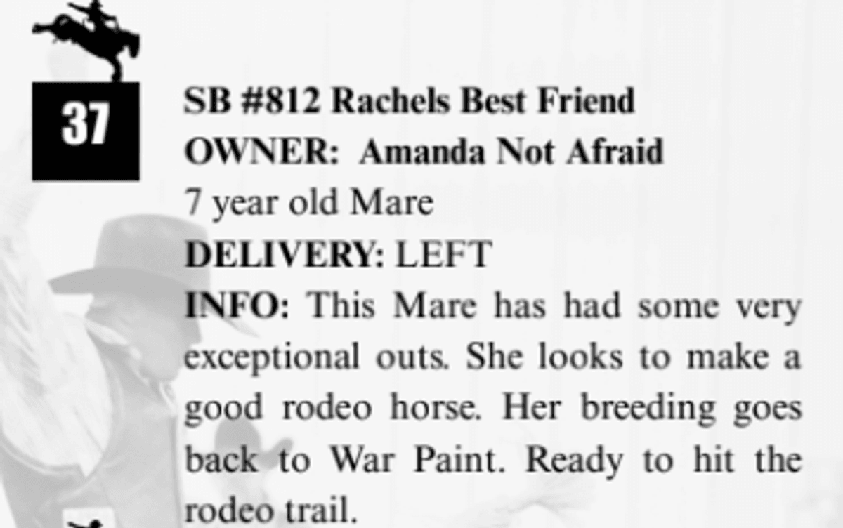 SB #812 Rachels Best Friend