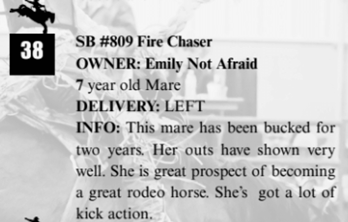 SB #809 Fire Chaser