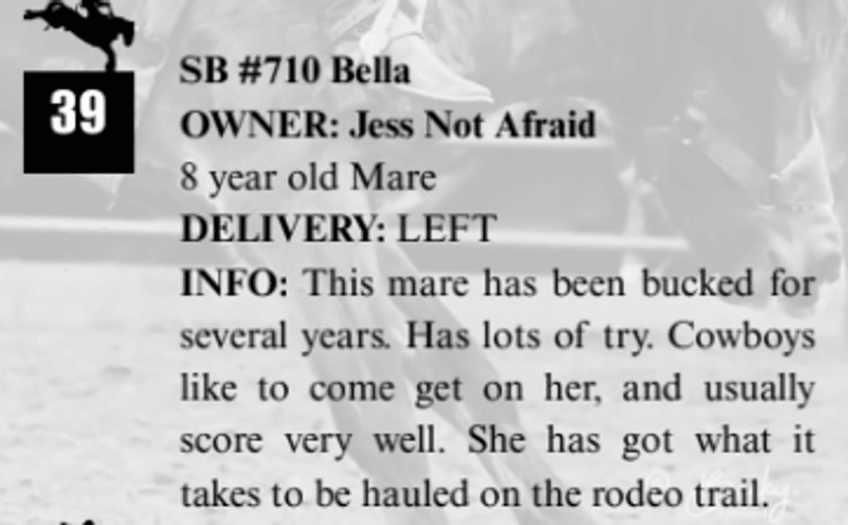 SB #710 Bella