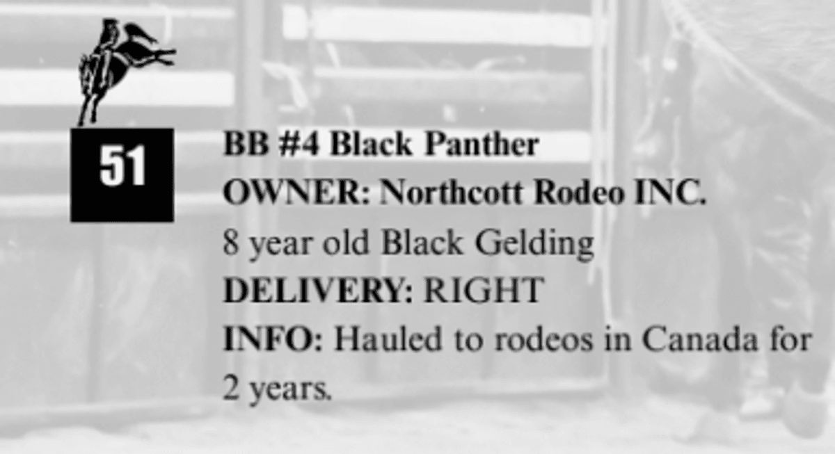 BB #4 Black Panther
