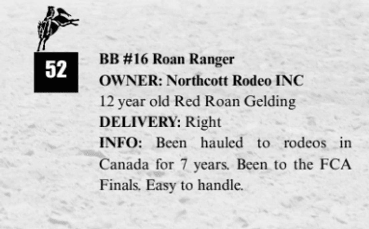 BB #16 Roan Ranger