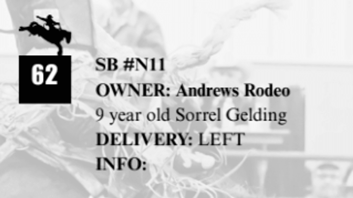 SB #N11