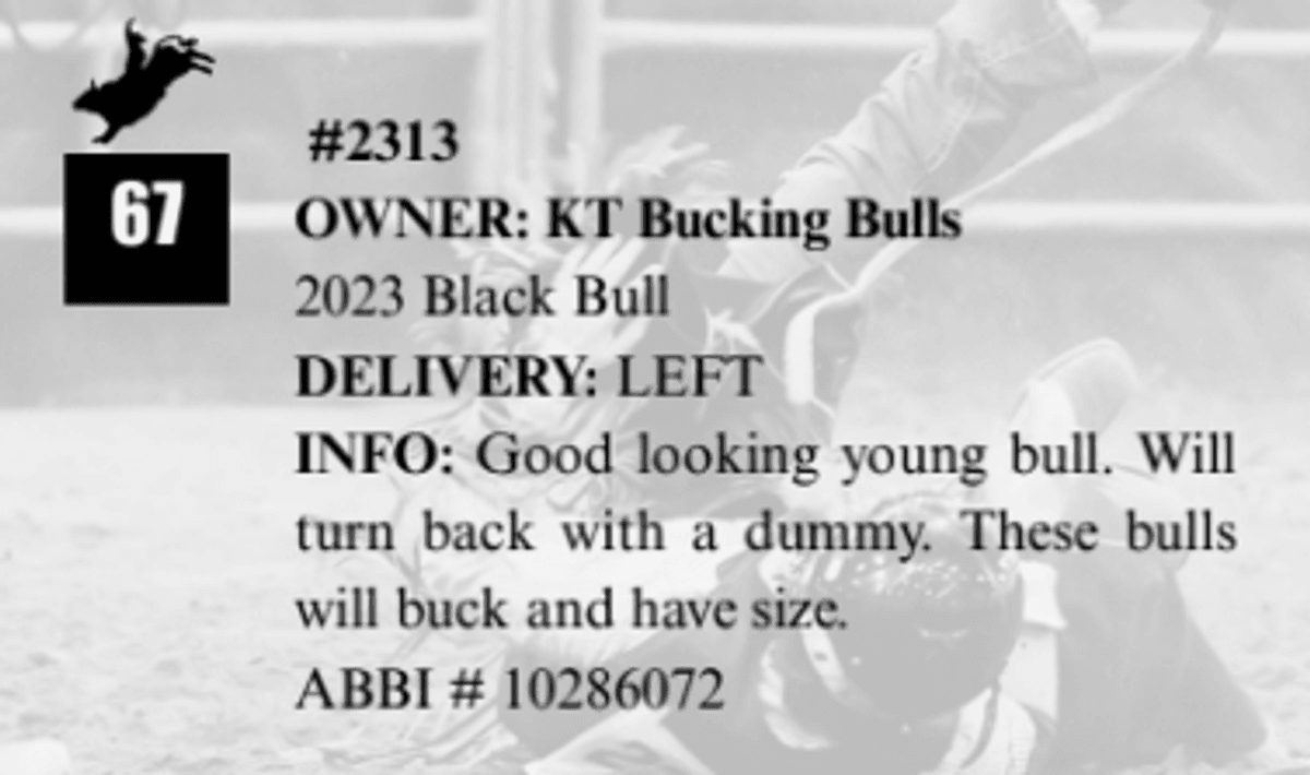 #2313