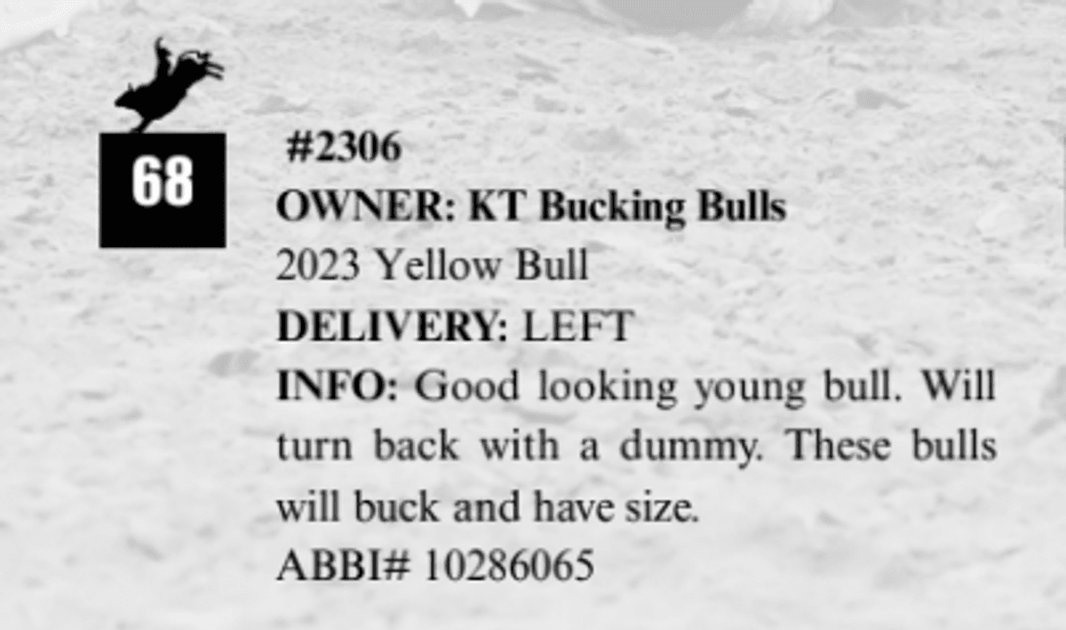#2306