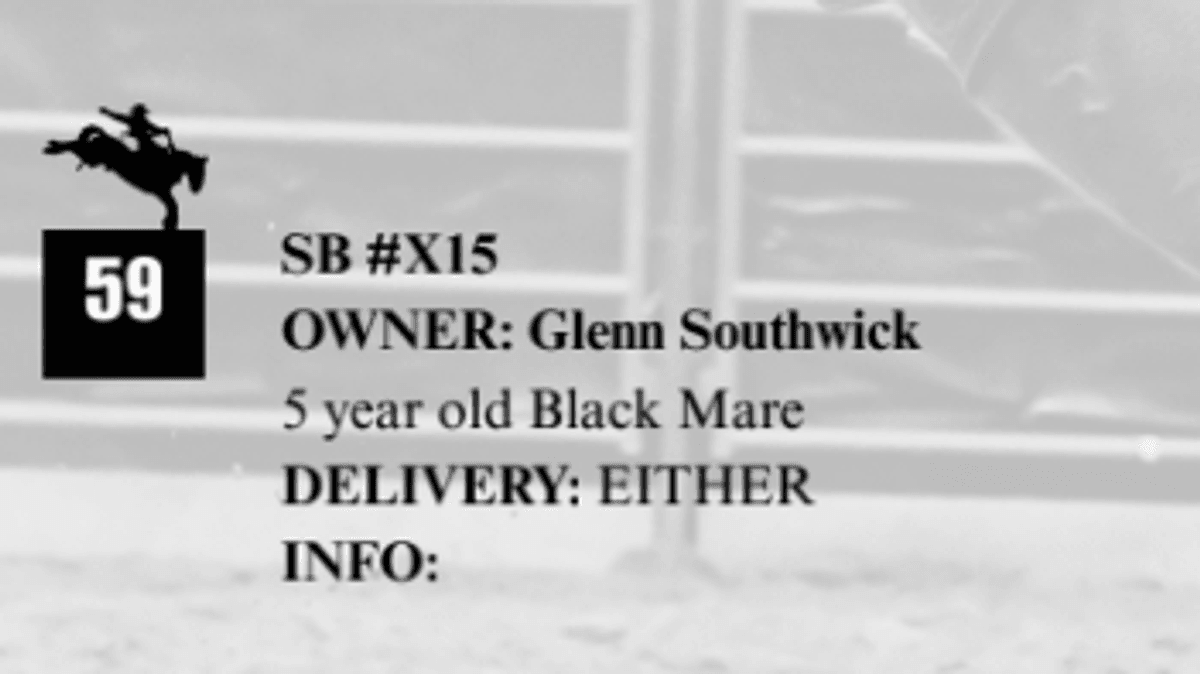 SB #X15