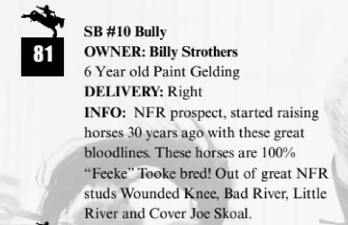 SB #10 Bully