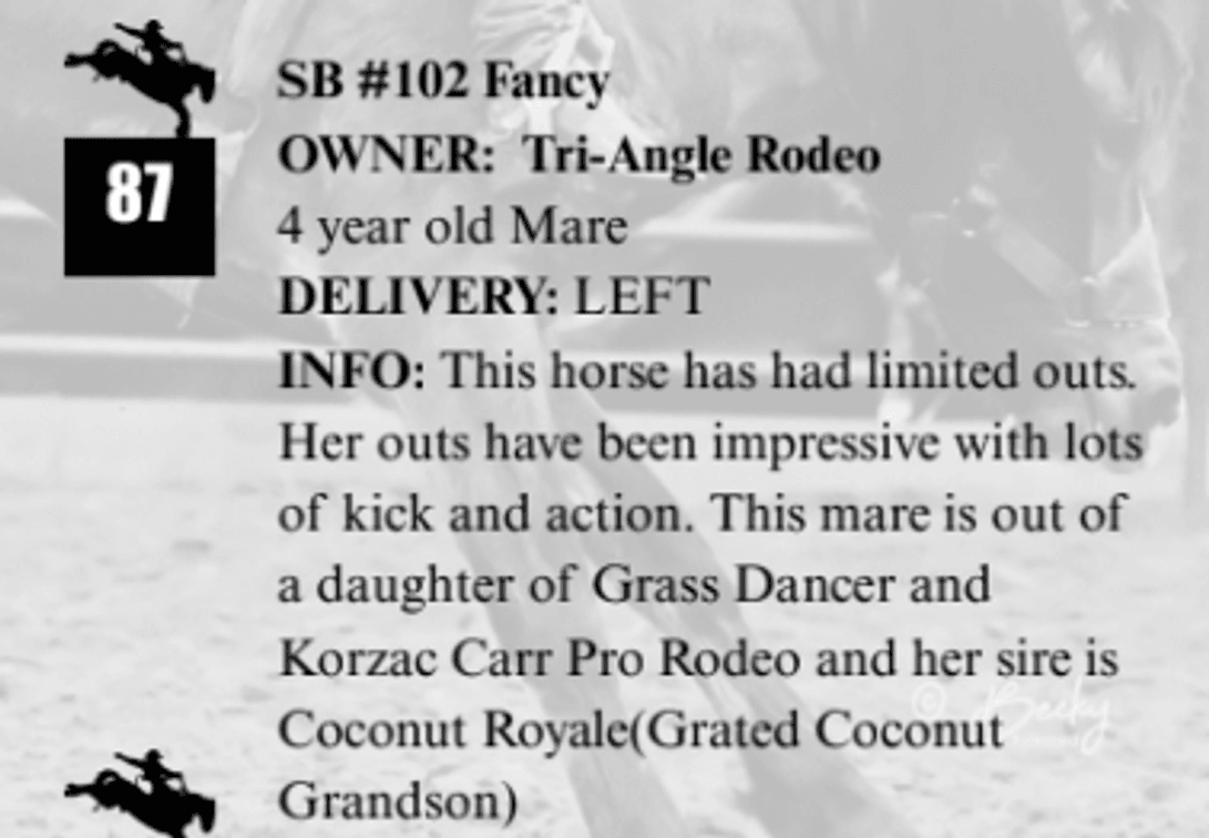 SB #102 Fancy