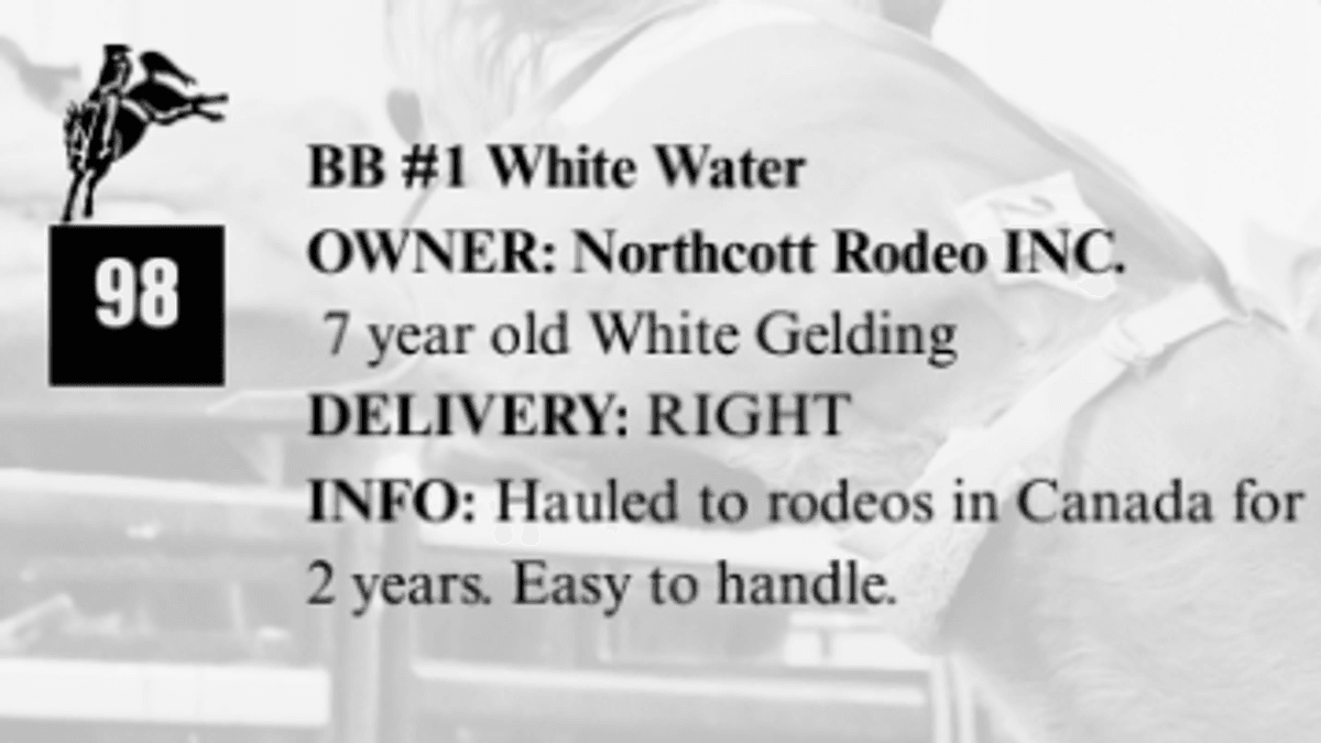 BB #1 White Water