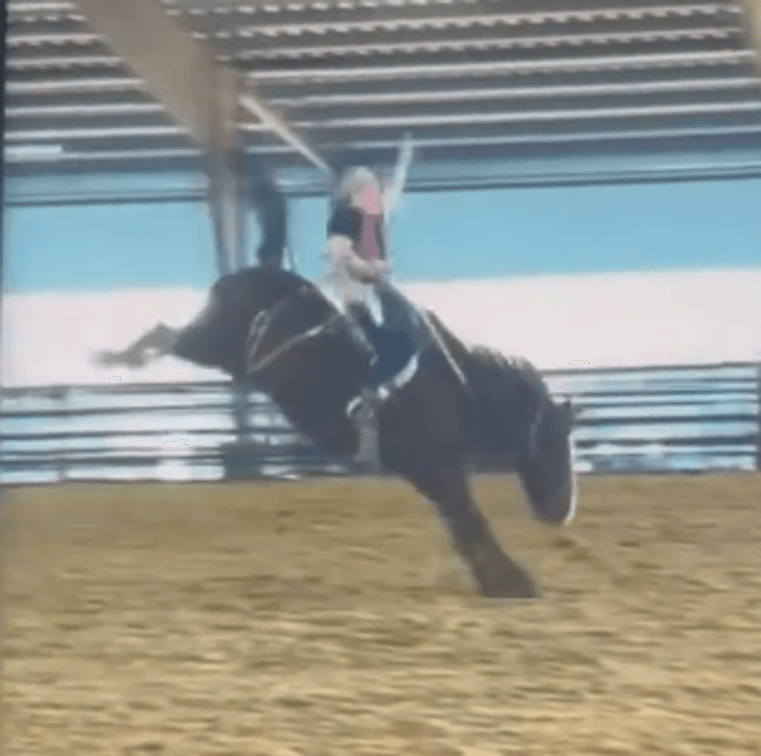 SB #-06 Quigley  VIDEO