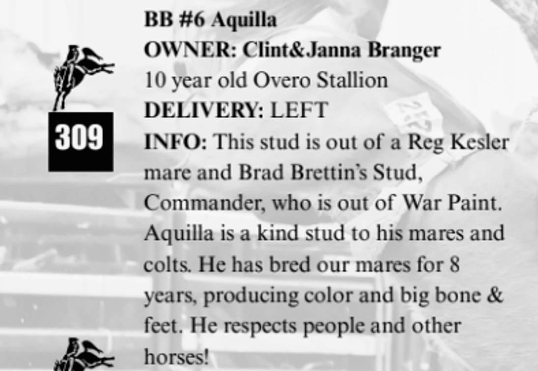 BB #6 Aquilla