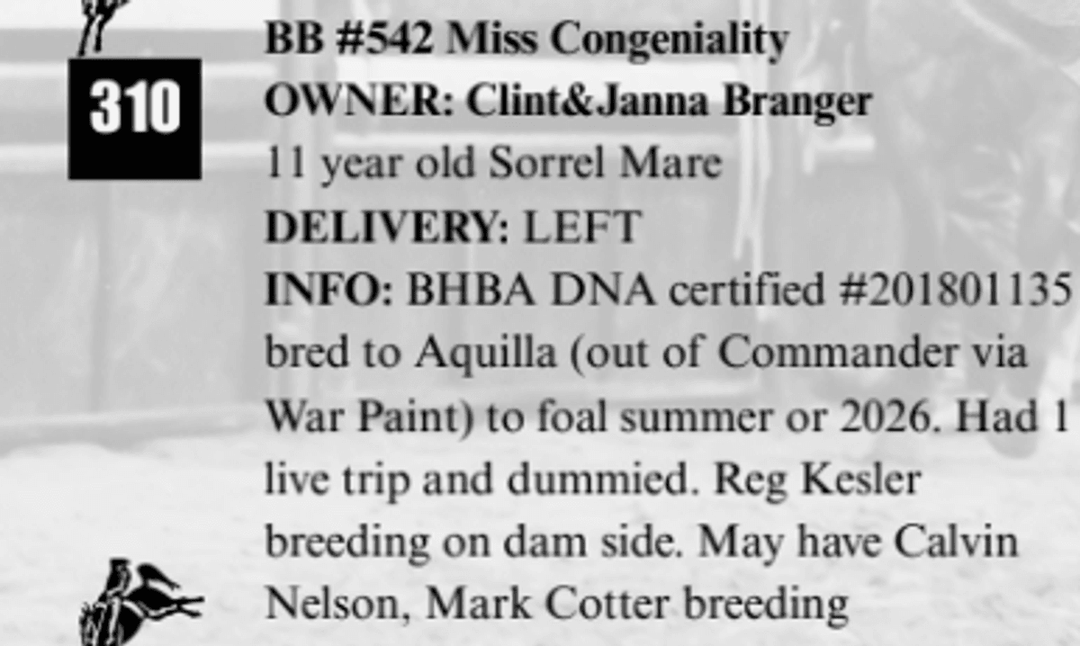 BB #542 Miss Congeniality