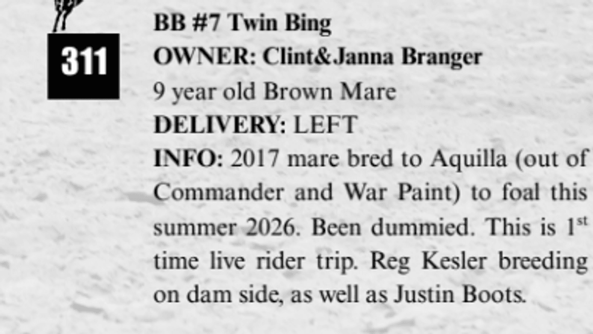 BB #7 Twin Bing