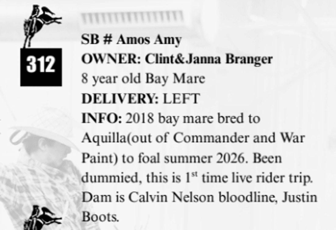SB # Amos Amy