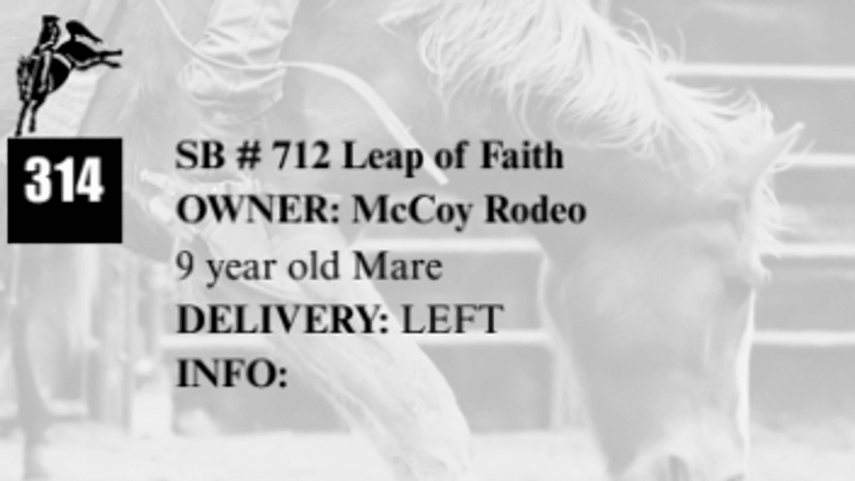 SB # 712 Leap of Faith