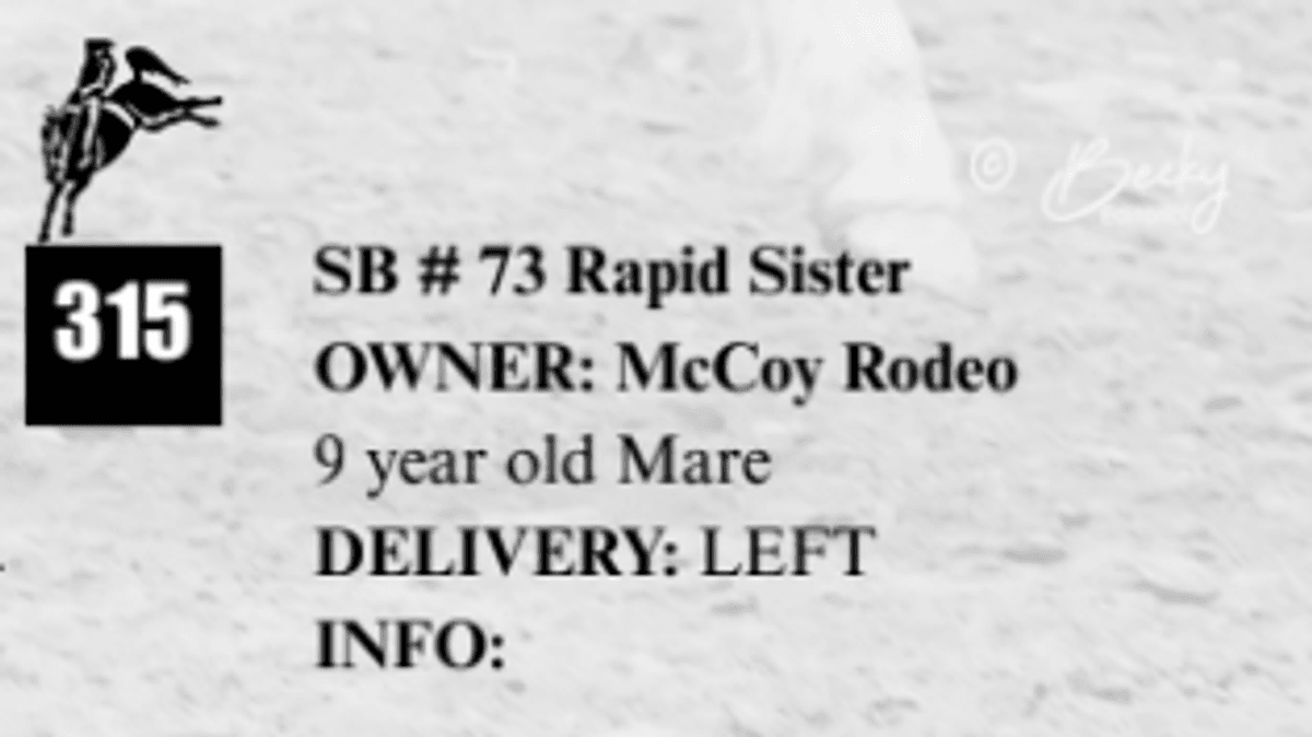 SB #73 Rapid Sister
