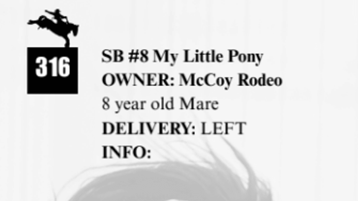 SB #8 My Little Pony
