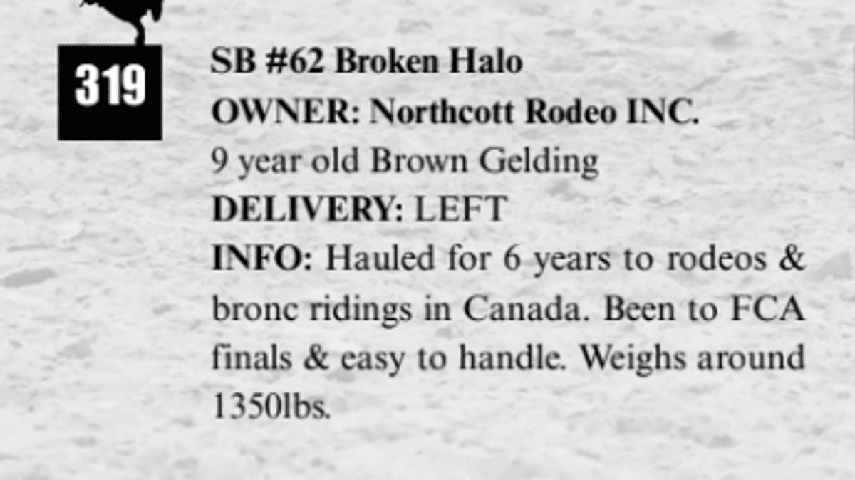 SB #62 Broken Halo