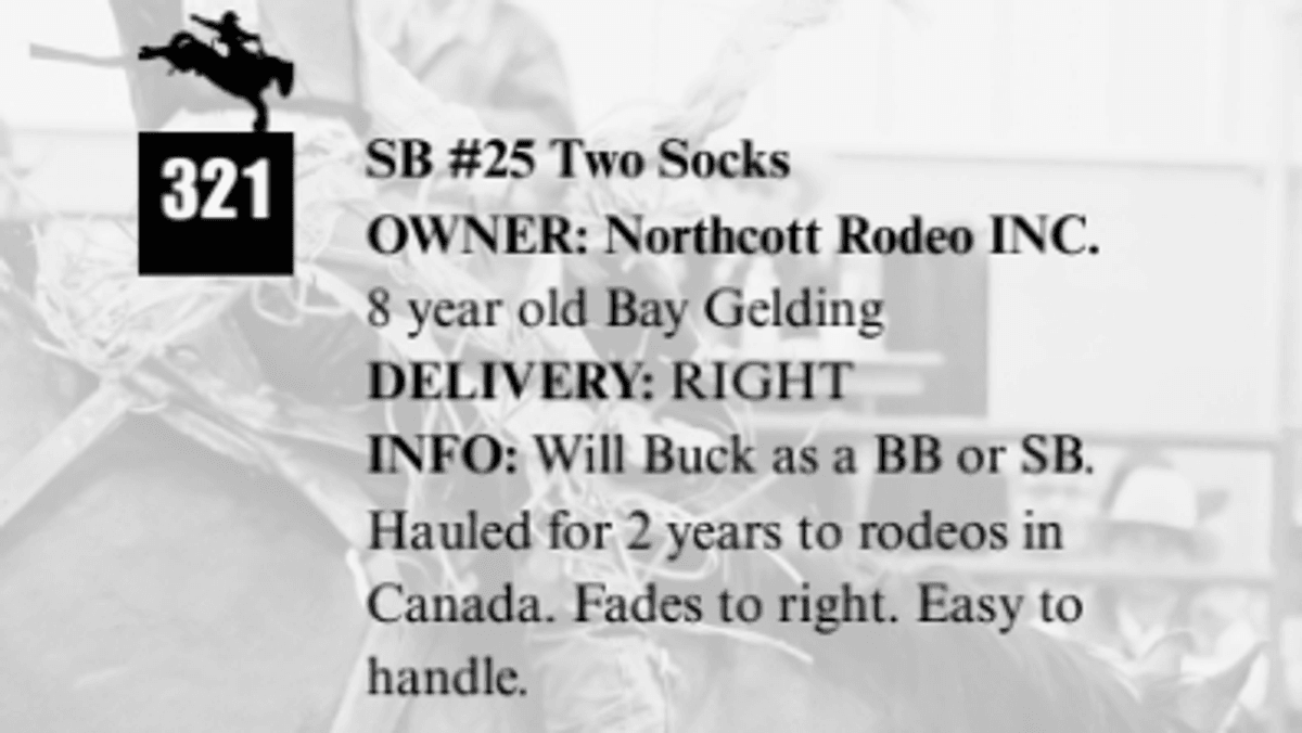SB #25 Two Socks