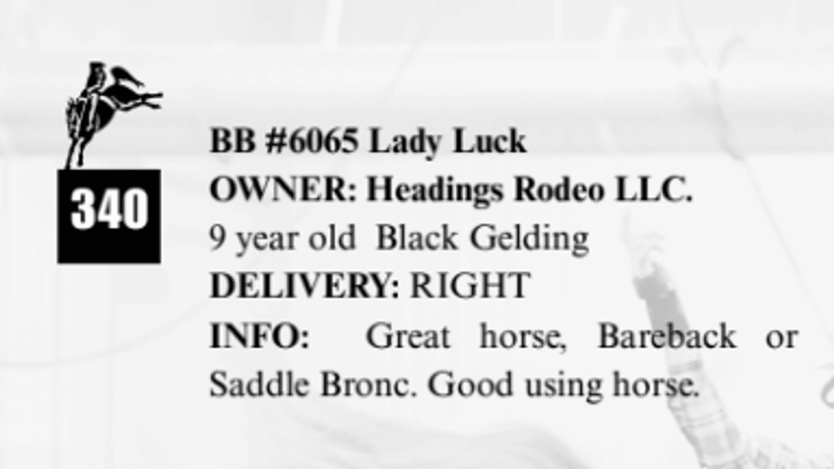 BB #6065 Lady Luck