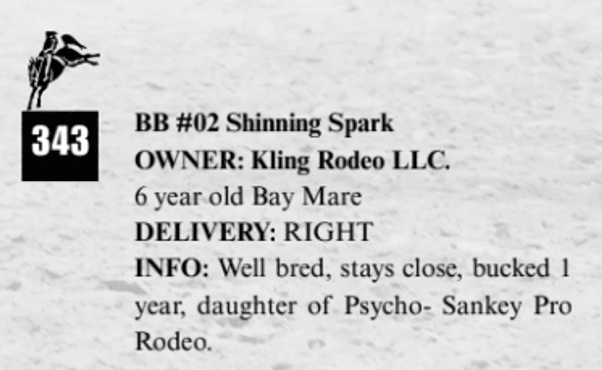 BB #02 Shinning Spark
