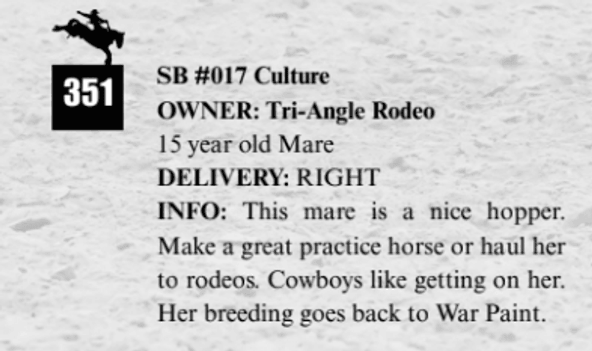 SB #017 Culture