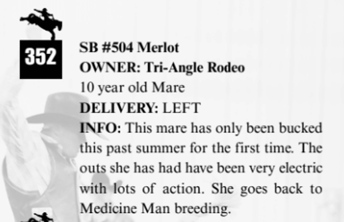 SB #504 Merlot