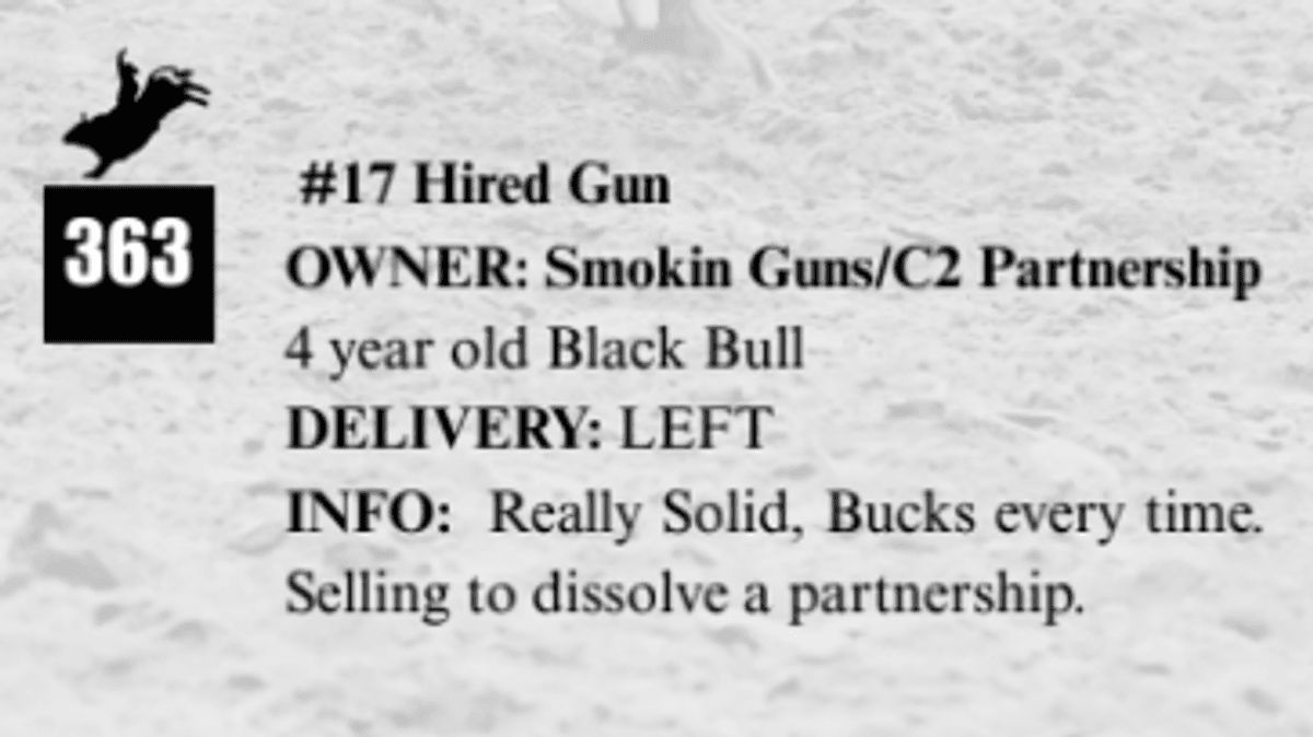 #17 Hired Gun