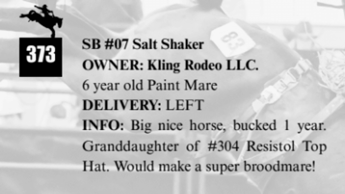 SB #07 Salt Shaker