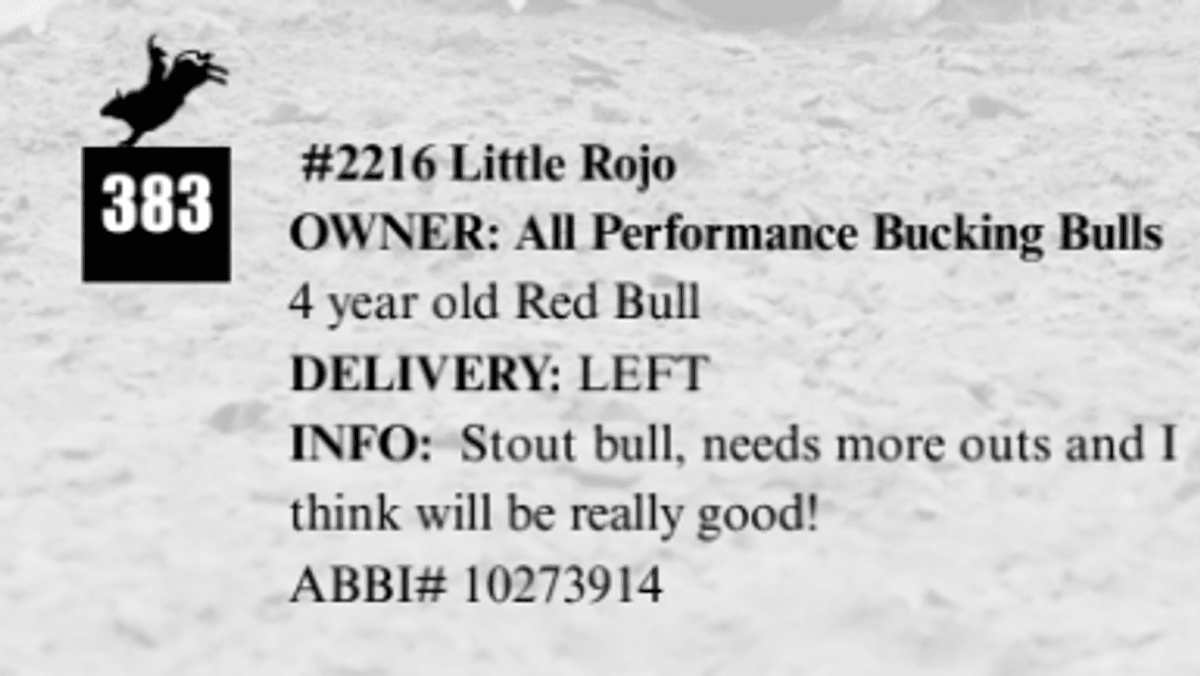 #2216 Little Rojo