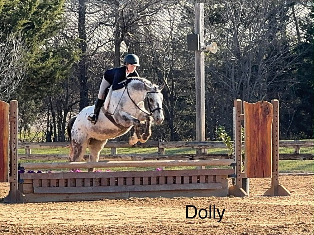 DOLLY  VIDEO