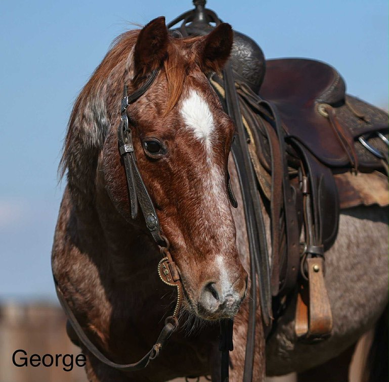 KING GEORGE