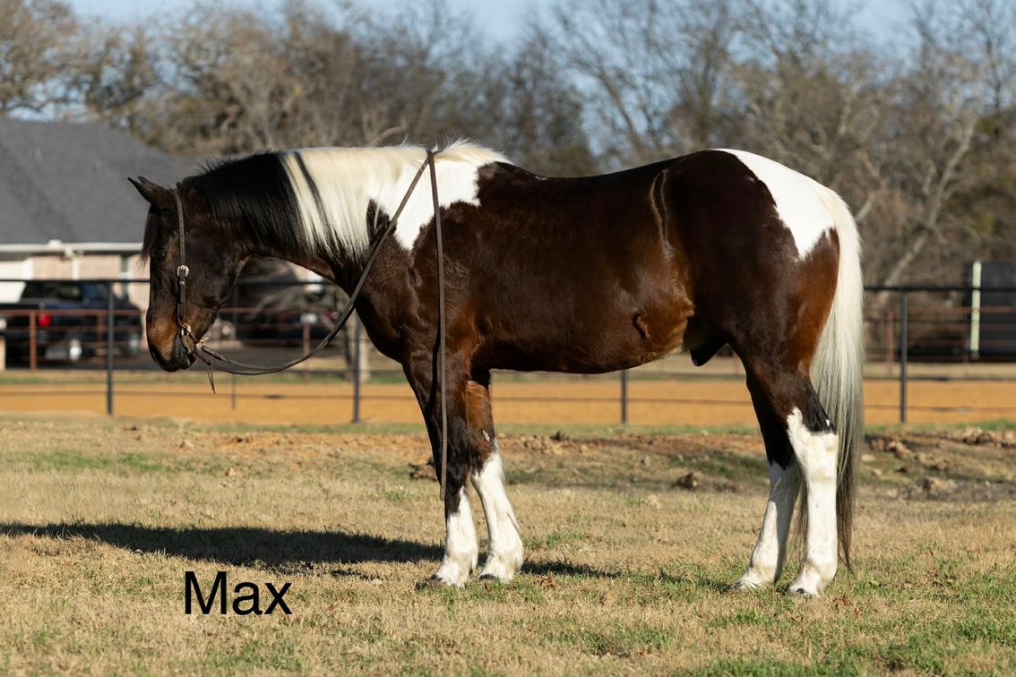 MAX