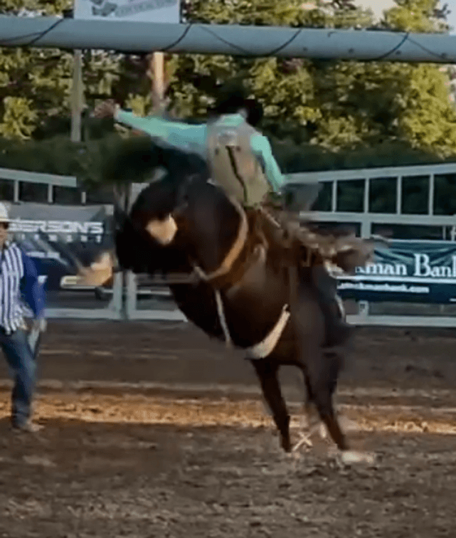 SB 302- Boots  VIDEO
