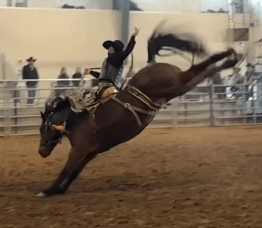 SB #468 Smoke Show  VIDEO