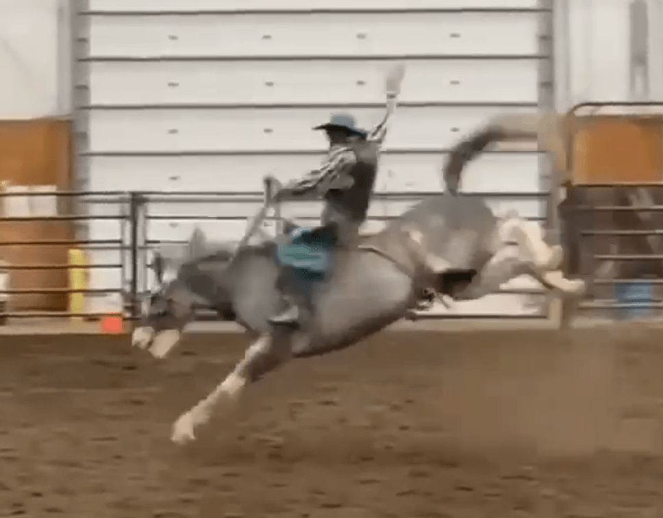 SB #54  VIDEO