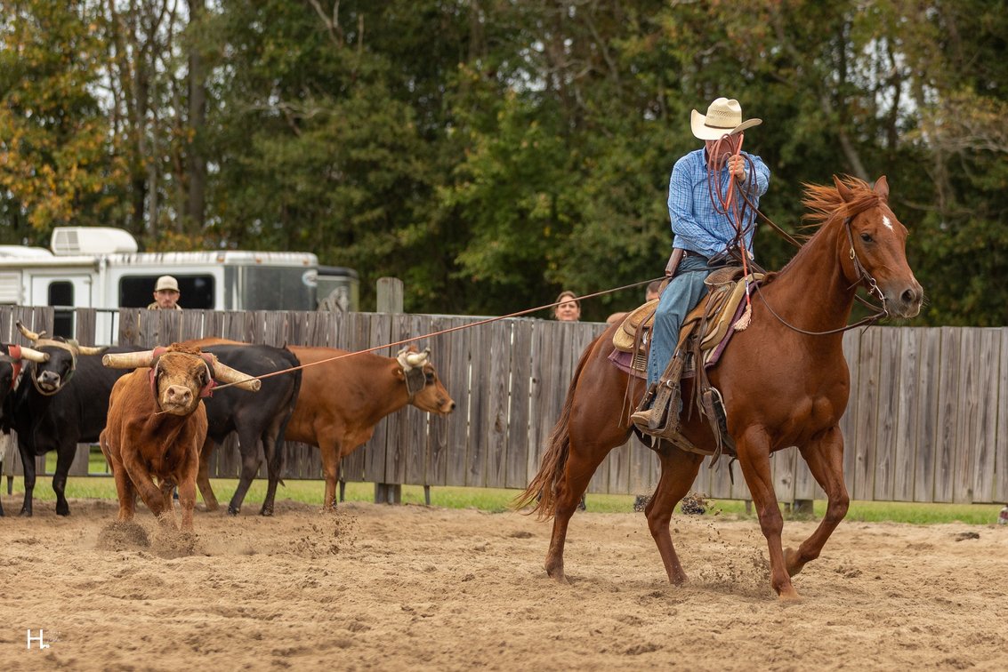 Image for Southwest Horse Sale Spring Catalog Sale - SATURDAY MARCH 28TH - Bush, LA