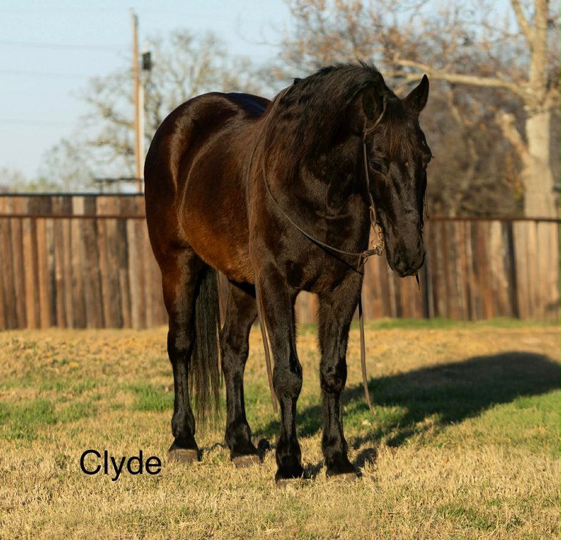 CLYDE