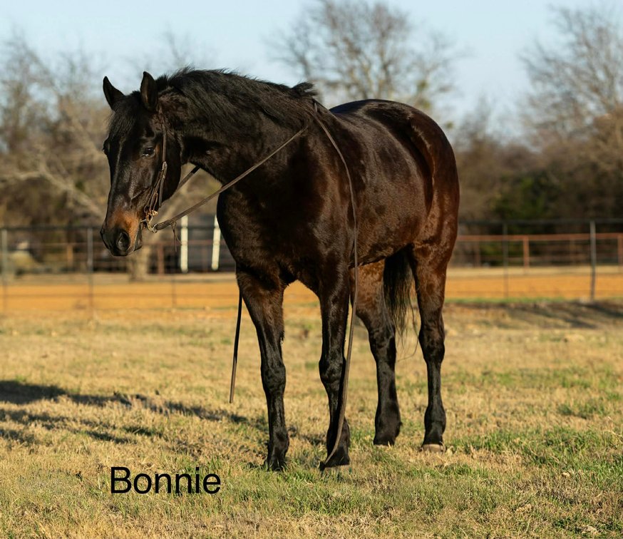 BONNIE