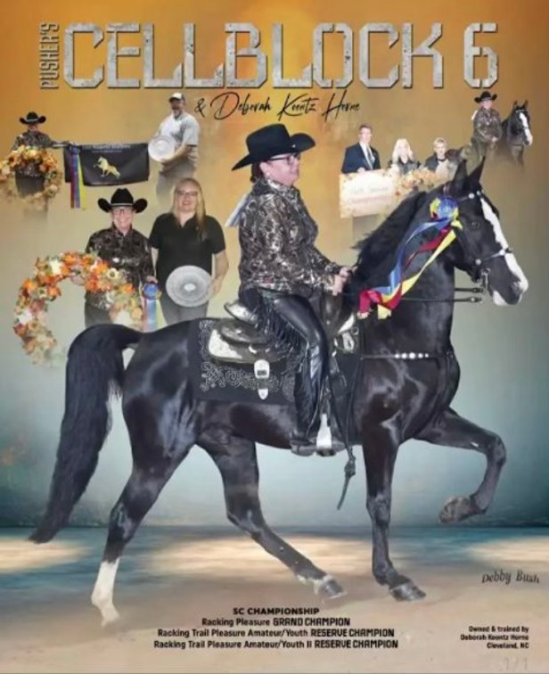 Image for East Tennessee 4B Gaited Horse Sale  White Pine, Tennessee - February 28th