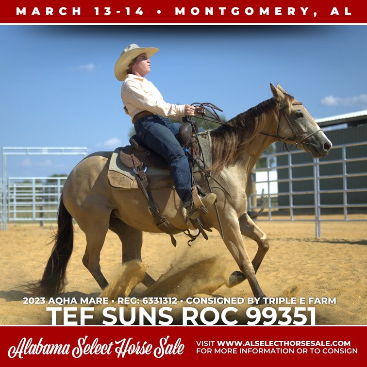 Image for Alabama Select Horse Sale - SATURDAY, MARCH 14TH - Montgomery, AL