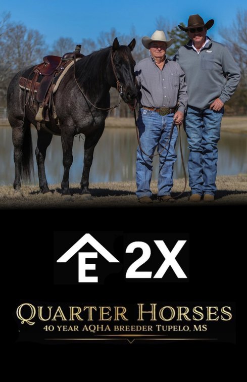 Image for Rafter E Quarter Horses Complete Dispersal - SATURDAY, APRIL 25TH -Pontotoc, Mississippi