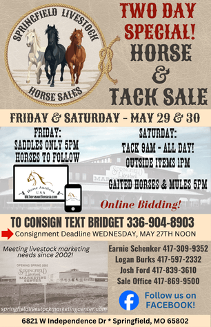 Image for Springfield Livestock SPECIAL Horse Sale DAY TWO - SATURDAY, MAY 30TH - Springfield, MO