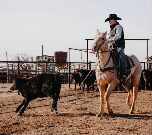Image for Stroud Oklahoma Horse Auction Summer Special - SATURDAY, MAY 30TH - Stroud, Oklahoma